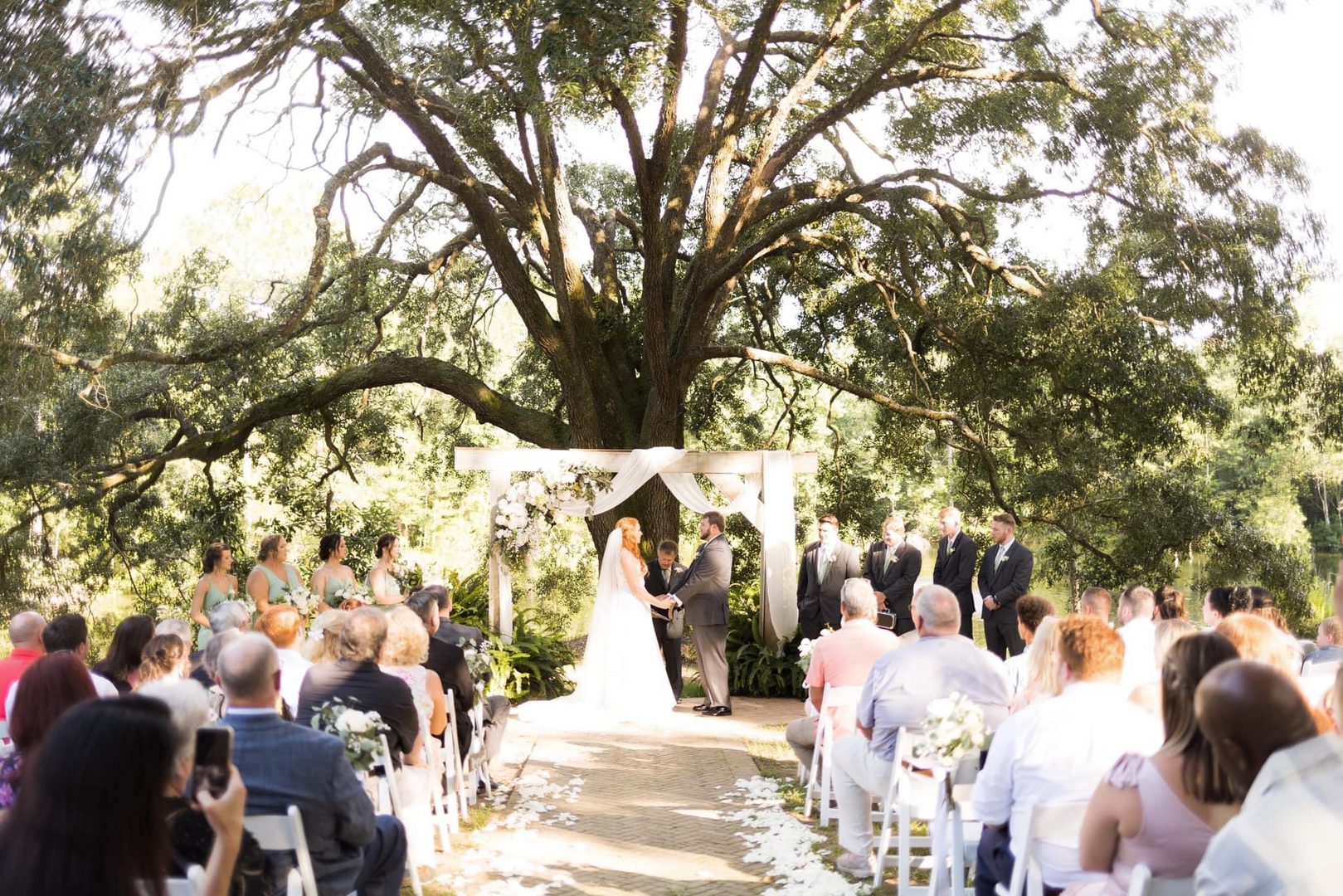 Outdoor wedding ceremony under a large tree.