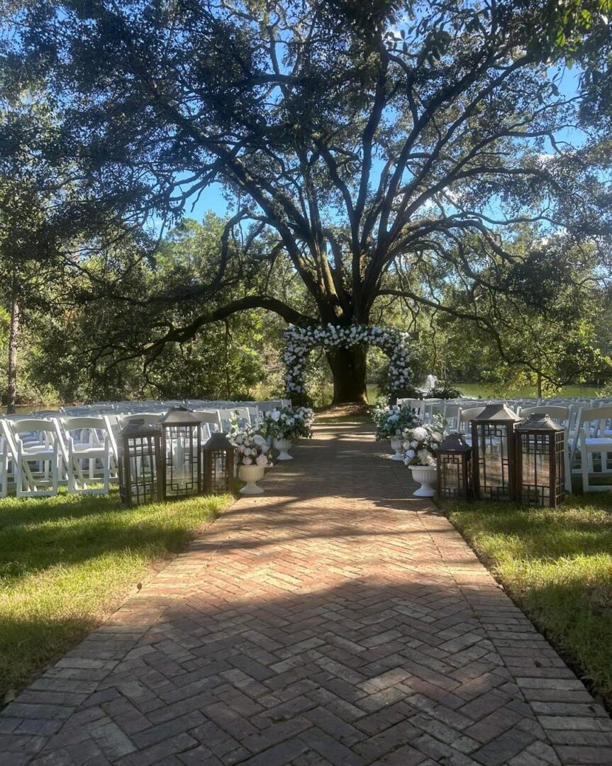 Outdoor wedding ceremony under a tree.