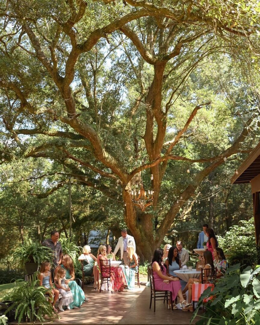 IMG_6114 Family gathering under large oak tree.