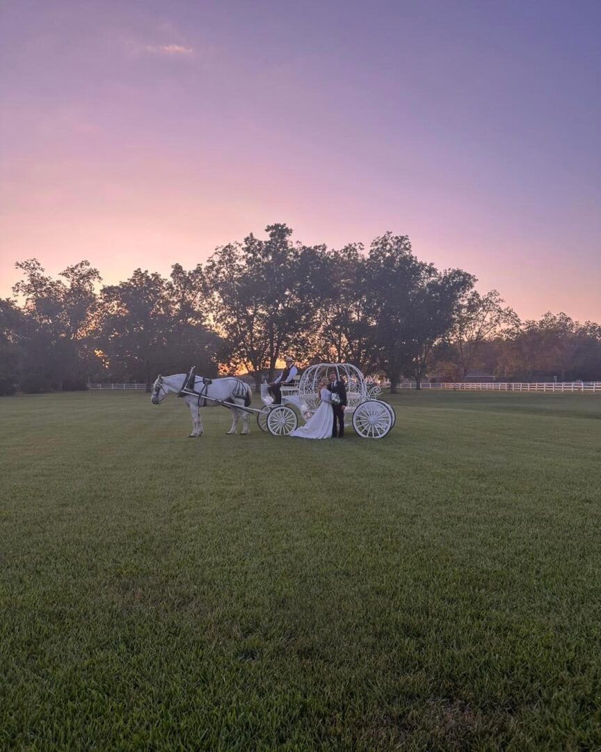 Wedding couple in a horse-drawn carriage.