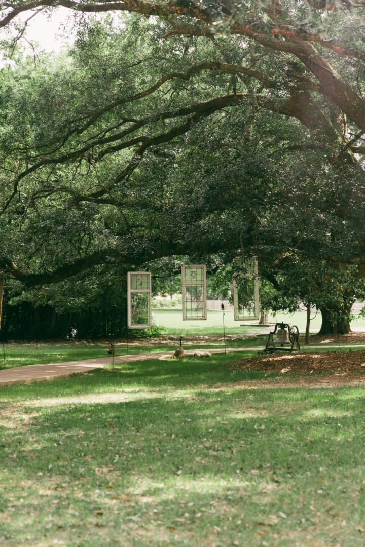Here's an alt tag for the image: Windows hanging from tree, grassy lawn.
