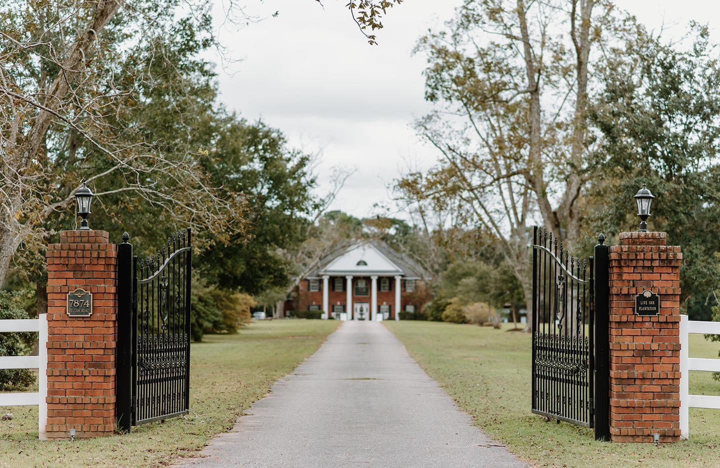 Driveway to plantation house entrance.