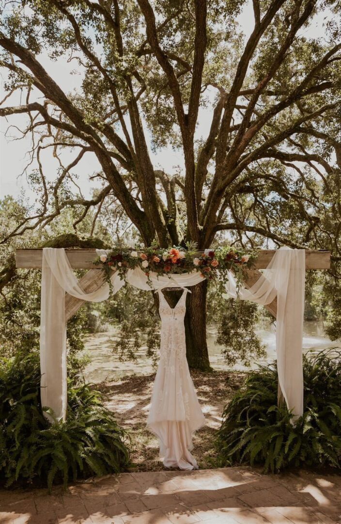 Wedding dress hanging under oak tree.